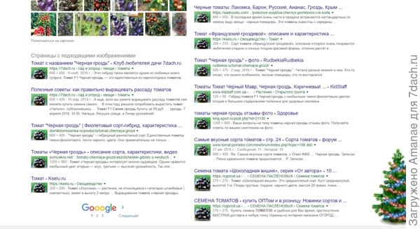 А популярны- то как. В выдаче на Гугл аж 2 страницы занимают