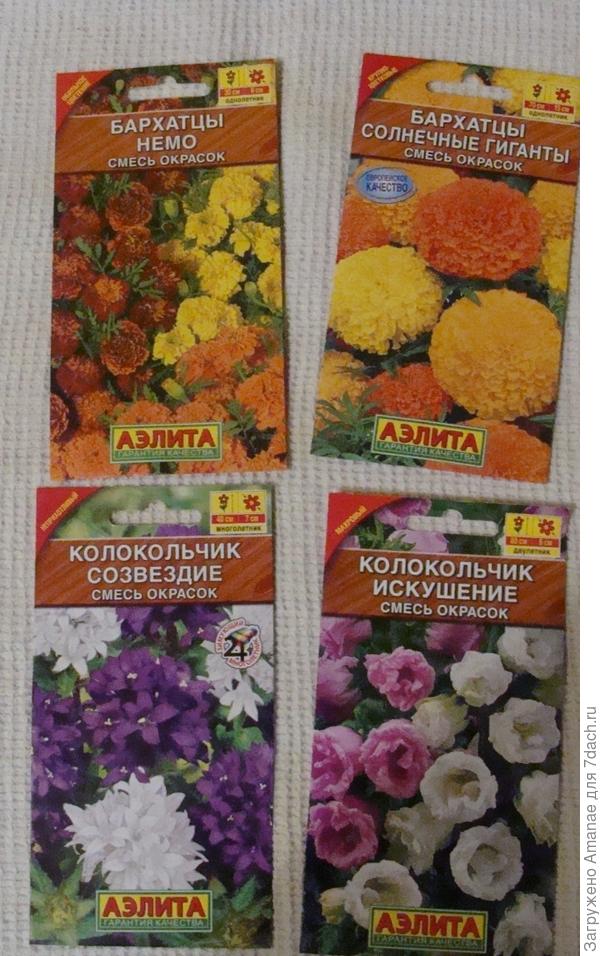 Бархотки и колокольчики