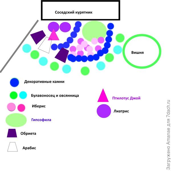 Схематичное изображение клумбы