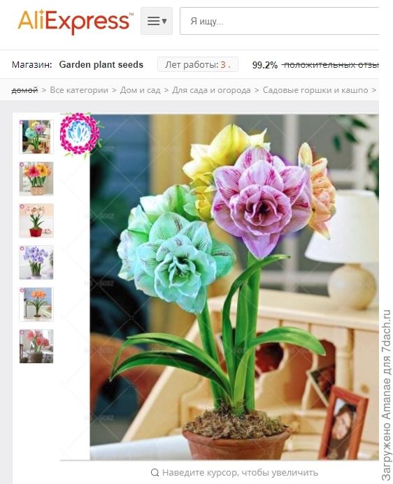 Фотошопный гиппеаструм с али, а кто-то может &amp;quot;купиться&amp;quot; и купить.