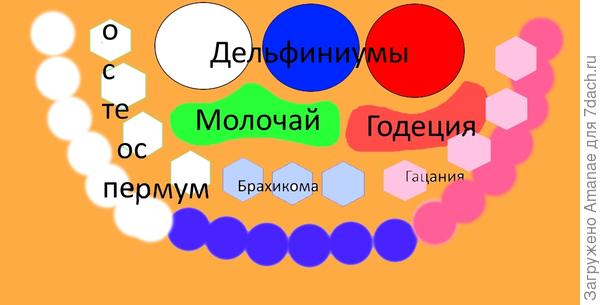 Схема цветника