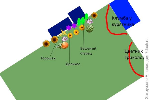 Схема клумб