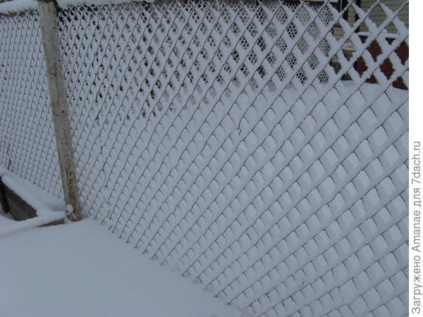 После снегопада забор из рабицы кажется очень красивым