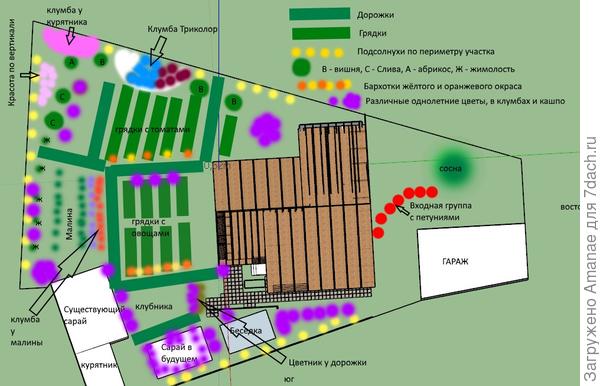 План участка с цветами и посадками