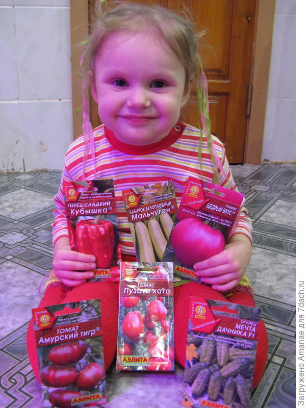 Доча с удовольствием помогает не только перебирать пакетики с семенами, но и поливать растущие растения на огороде. Розовый оттенок фотографий из-за работающей фитолампы.