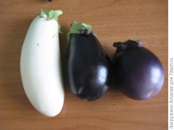 25 июля, Снежок, Бомбовоз, Фиолетовый кафтан