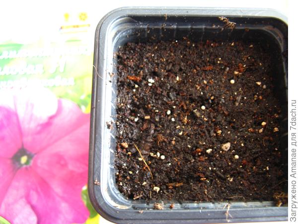 Разложенные семена