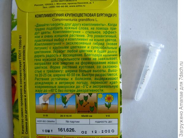 Обратная сторона