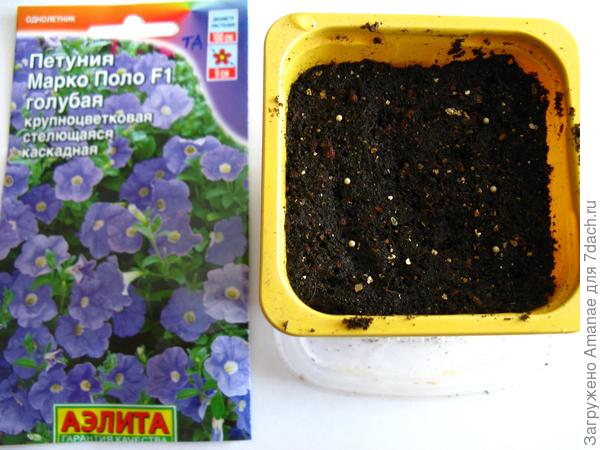 Посаженные семена