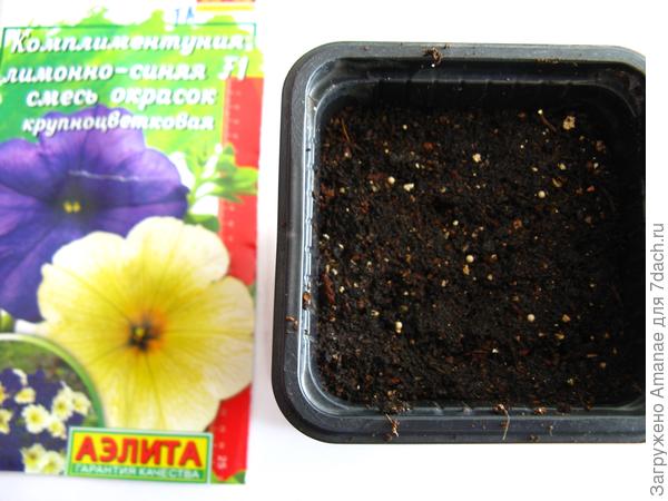 Посадка пяти семян