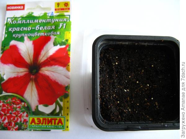Посадка 5 семян