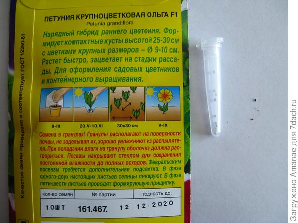 Обратная сторона