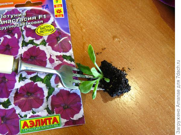 Пикировка