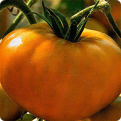 Малахитовая шкатулка