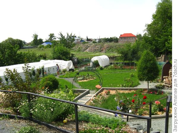 Демонстрационный участок, июль 2018