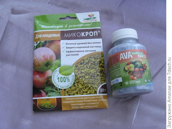 Микроп и Ава