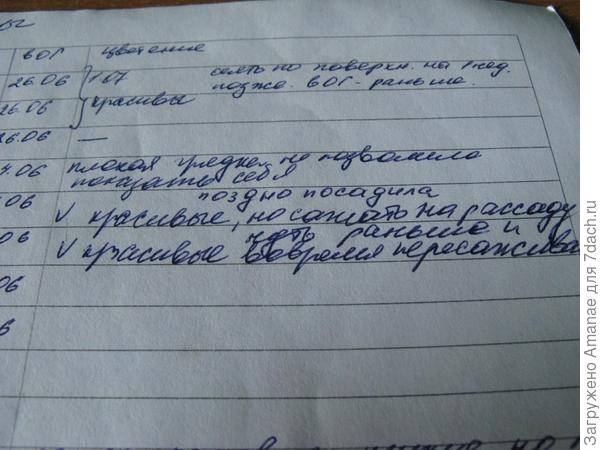 Примечания для себя, чтобы учесть все промахи сезона