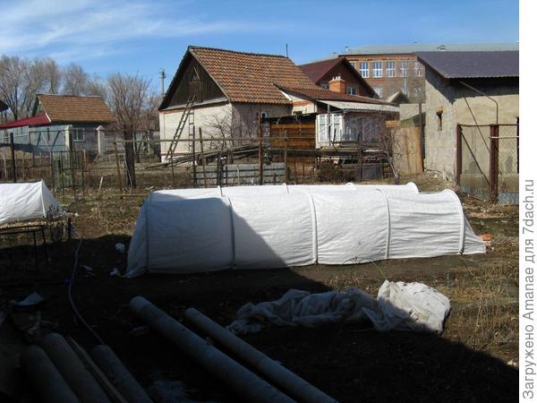 Парнички с клубникой