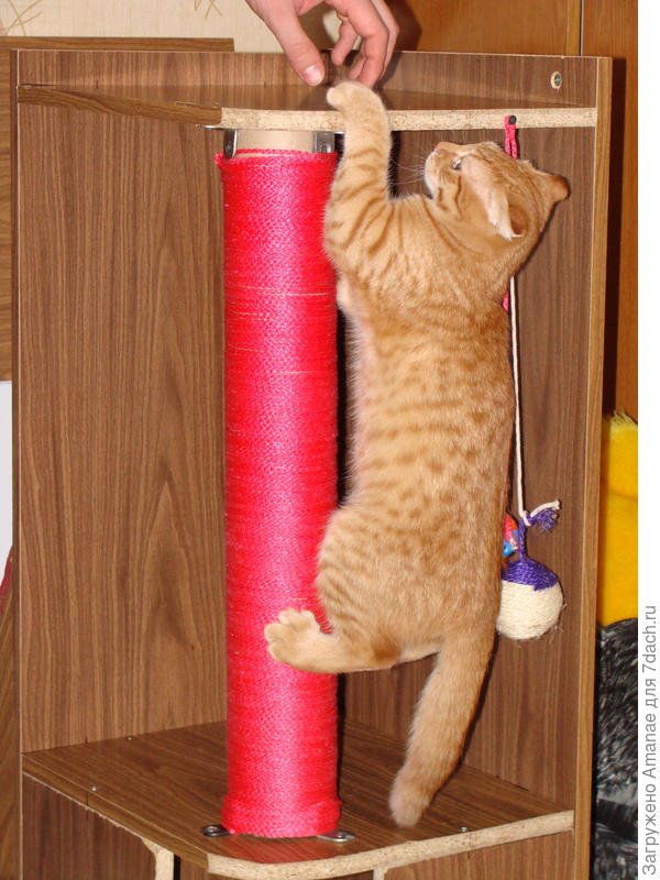 Занимается зарядкой