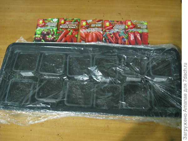 Закрываю плёнкой и ставлю на тёплый пол