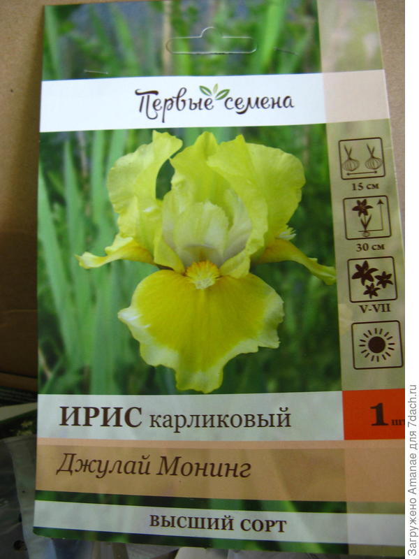 Ирис