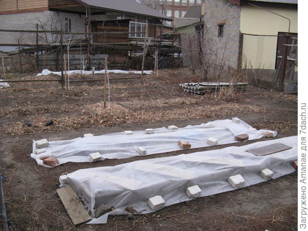 Укрыла грядки
