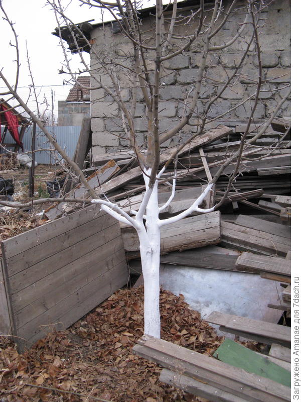 Покрашено удачей