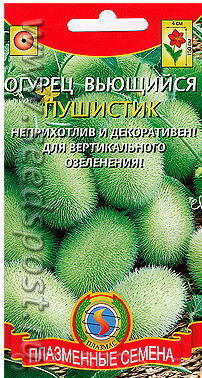 Пушистик