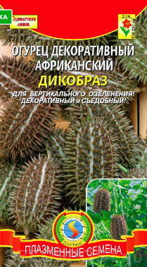 Дикобраз