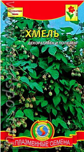 Хмель