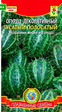Усатый полосатый