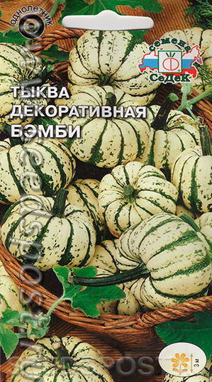 Тыква Бэмби