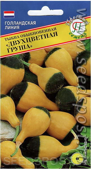 Тыква Груша