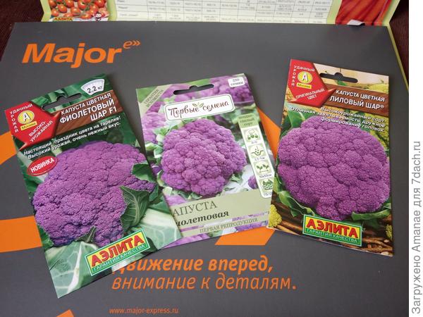 мои фиолетики на 2020 год