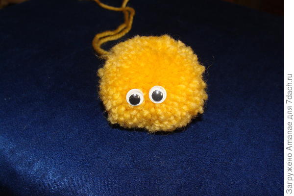 Лохматик с глазами!