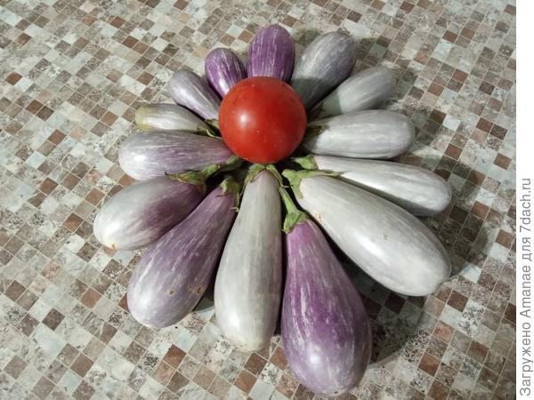 Красотульки