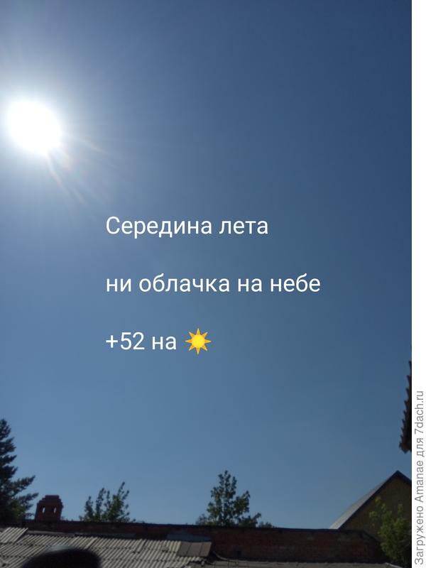 Жара