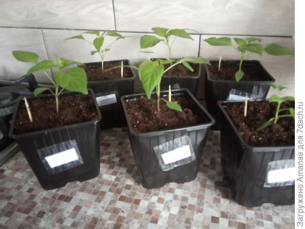 на новом месте