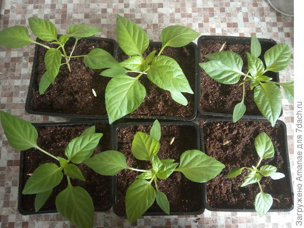 есть куда расти