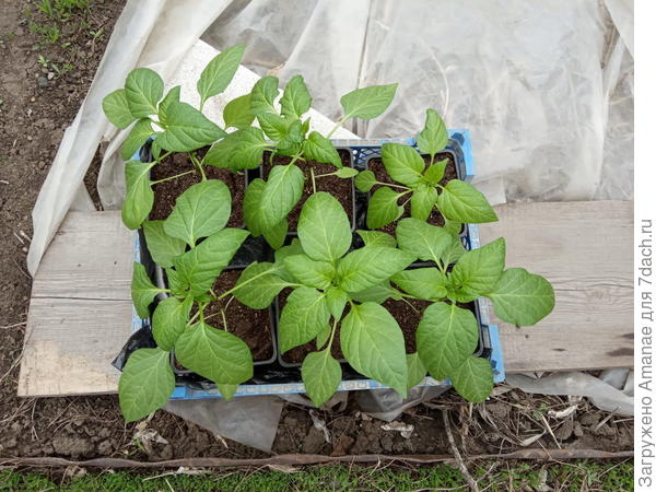 на улицу, марш!