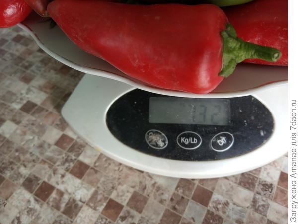 Вторая 732 гр