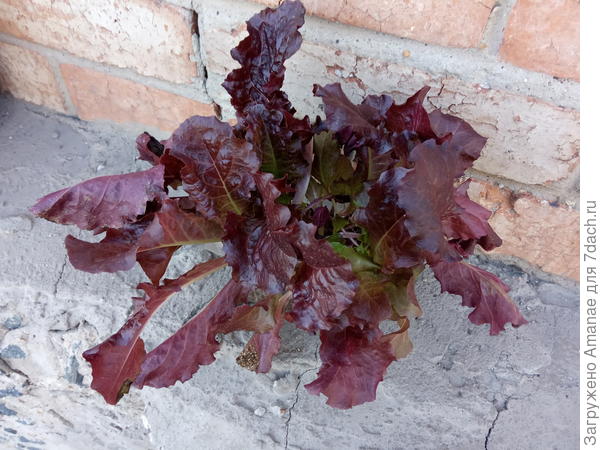 пару недель под солнышком