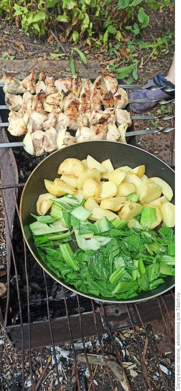 Завтрак с пак-чой