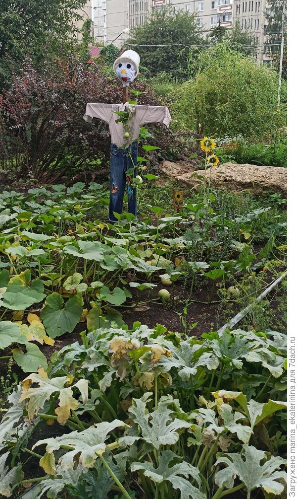 Мое Пугало. Илларион