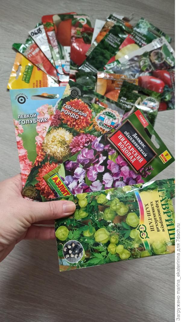 Мои задумки