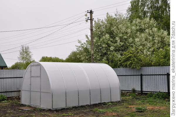 Теплица на участке