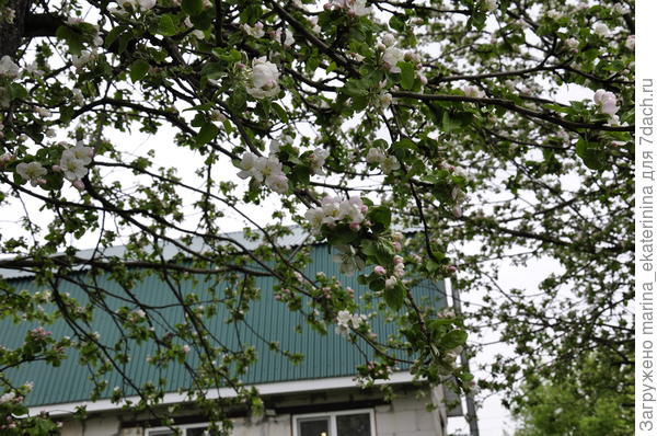 Крыша дома моего