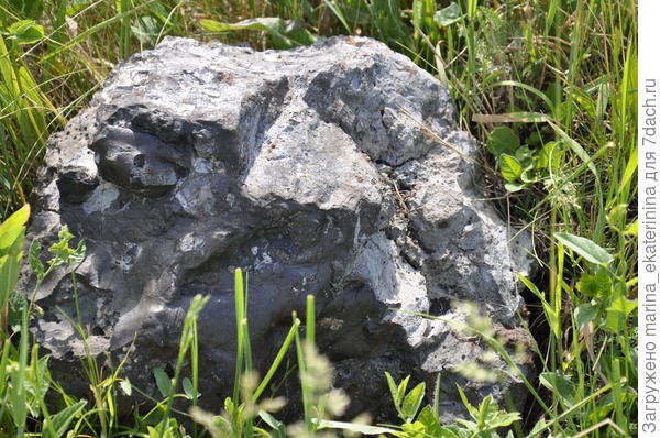 Камень-голова