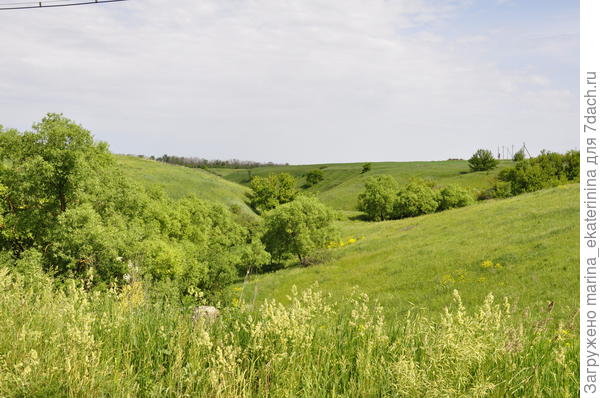 Пружинки. Просторы Липецкой области