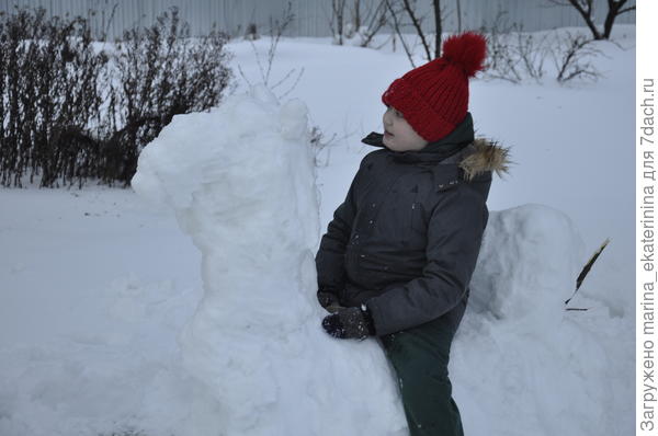 Снежный верблюд